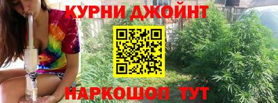 крисы Тулун